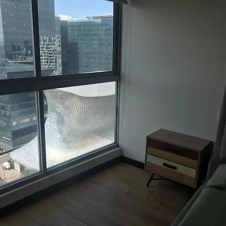 Gran Polanco Carso